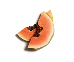 Papaya Enzyme Papaya Enzyme