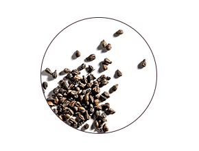 polyphenols