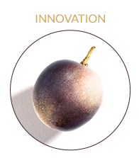 Vinergy