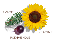 Patented antioxidant complex