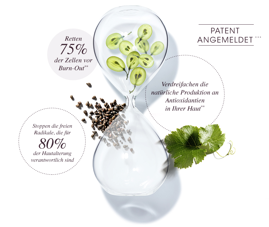 Polyphenole - Eine bewiesene Wirksamkeit