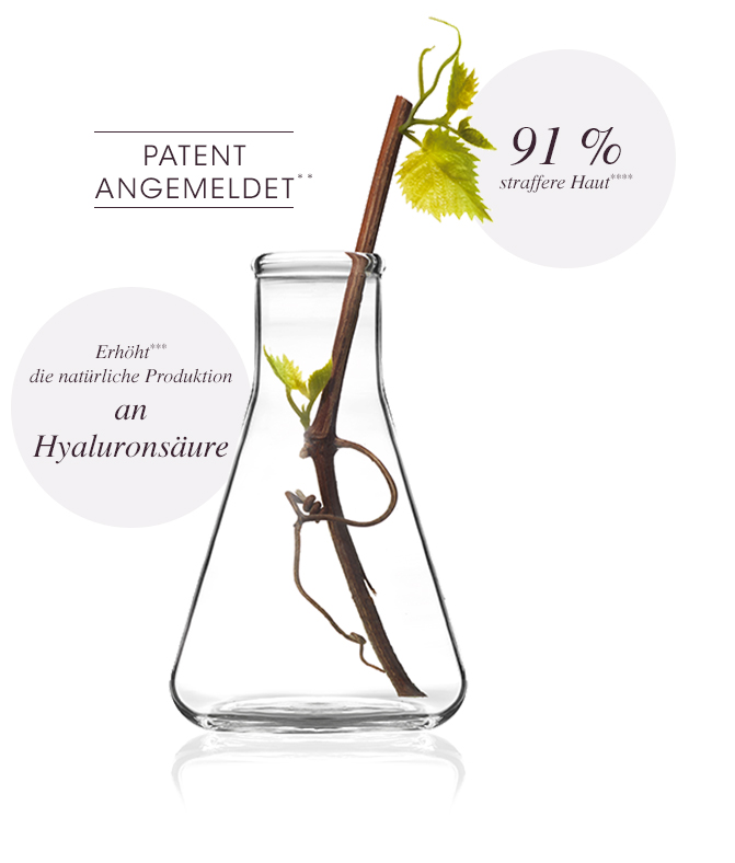 Resveratrol - Eine bewiesene Wirksamkeit